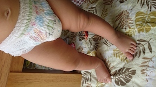 �X�L���̑��q�ł� ���[�j�[�}�� �G�A�t�B�b�g�i�p���c�^�C�v�jM�T�C�Y-�j�����p�̎ʐ^